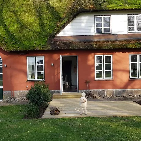 Daire Lindenhof Ruellschau Maasbull (Schleswig-Flensburg)